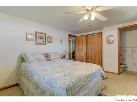 409 N Springfield Rd, Athens, IL 62613 photo 13