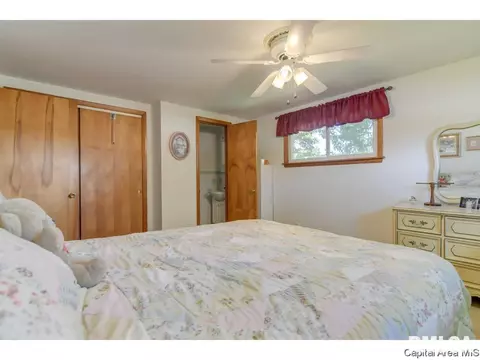 409 N Springfield Rd, Athens, IL 62613 photo 14