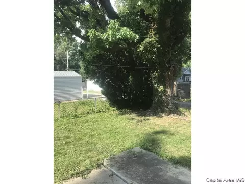2428 S 10th St, Springfield, IL 62703 photo 29