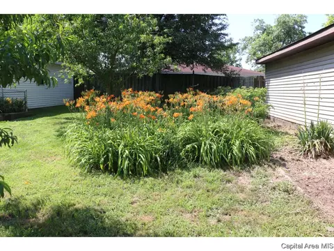 1236 Mossman Ave, Springfield, IL 62702 photo 19