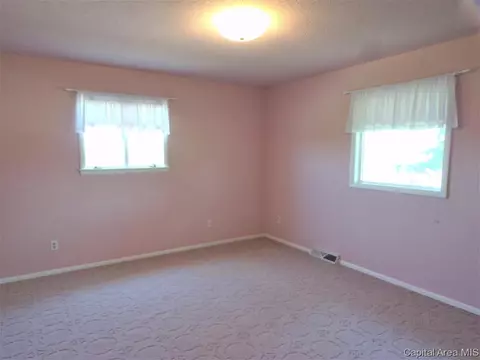 453 E Prospect St, Oneida, IL 61467 photo 27