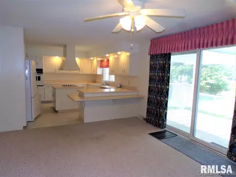 453 E Prospect St, Oneida, IL 61467 photo 17