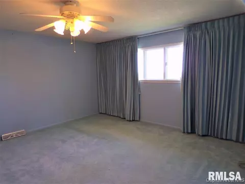 453 E Prospect St, Oneida, IL 61467 photo 19