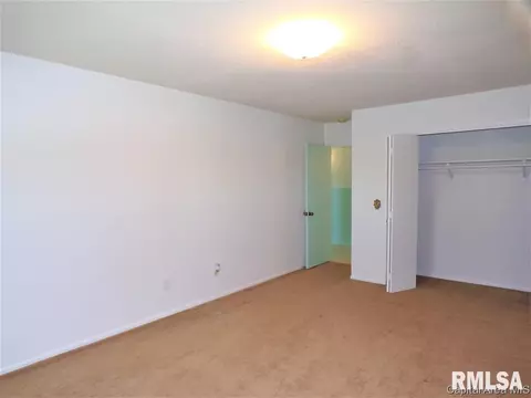 453 E Prospect St, Oneida, IL 61467 photo 26
