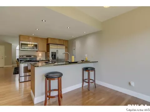 108 Eagle Ridge Dr, Chatham, IL 62629 photo 10