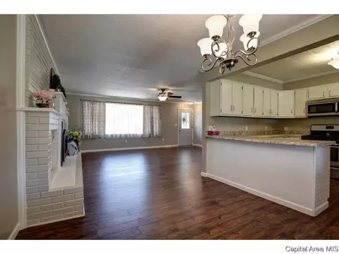 248 E Olive St, Virden, IL 62690 photo 8