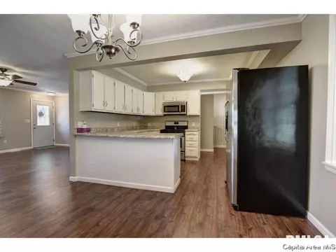 248 E Olive St, Virden, IL 62690 photo 9