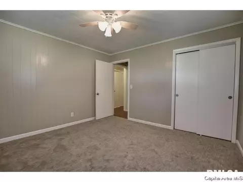 248 E Olive St, Virden, IL 62690 photo 19