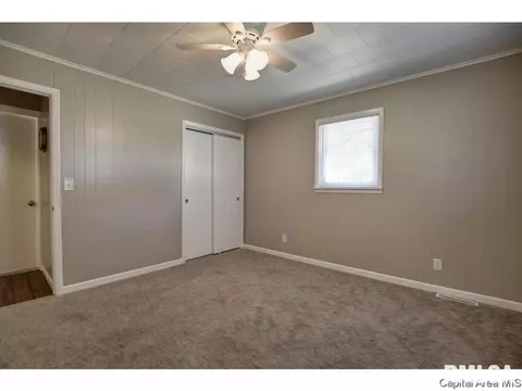248 E Olive St, Virden, IL 62690 photo 20