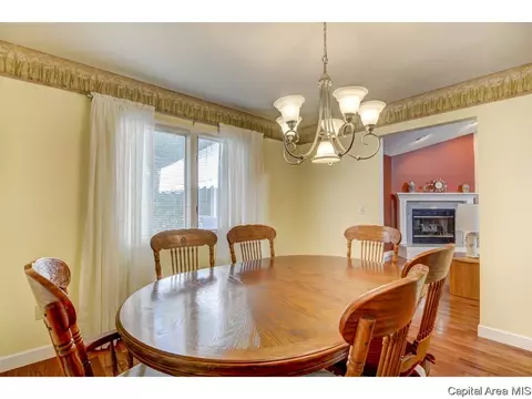 805 High Pointe Dr, Springfield, IL 62702 photo 16