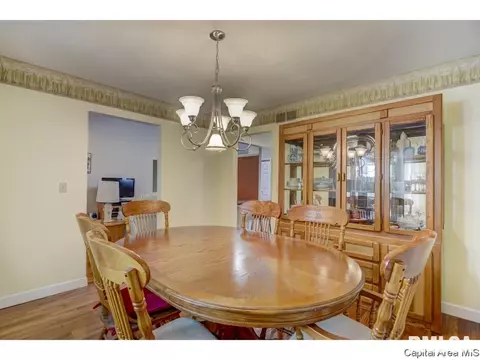 805 High Pointe Dr, Springfield, IL 62702 photo 15