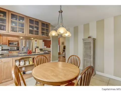 805 High Pointe Dr, Springfield, IL 62702 photo 13