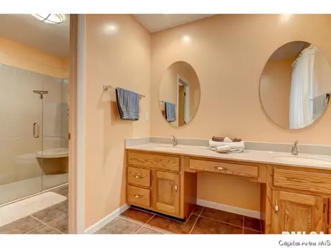 805 High Pointe Dr, Springfield, IL 62702 photo 18