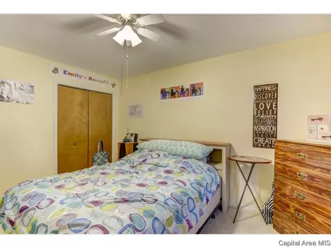 805 High Pointe Dr, Springfield, IL 62702 photo 20