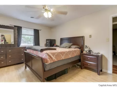 111 Mesa Rd, Springfield, IL 62702 photo 13