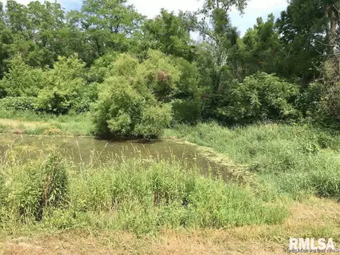 0 Capp Rd, Morrison, IL 61270 photo 20