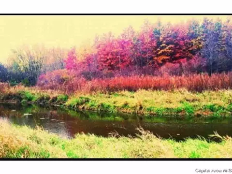 0 Capp Rd, Morrison, IL 61270 photo 5