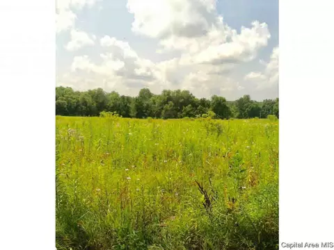 0 Capp Rd, Morrison, IL 61270 photo 4