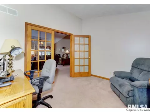 3180 White Timber Rd, Springfield, IL 62712 photo 16