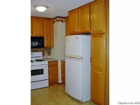 609 W Martin Street St, Abingdon, IL 61410 photo 17