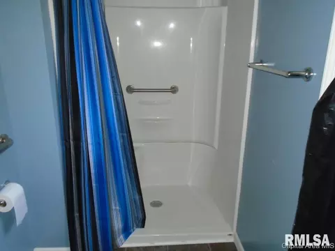 208 E Martin St, Abingdon, IL 61410 photo 9