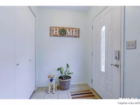 133 N Douglas Ave, Springfield, IL 62702 photo 3