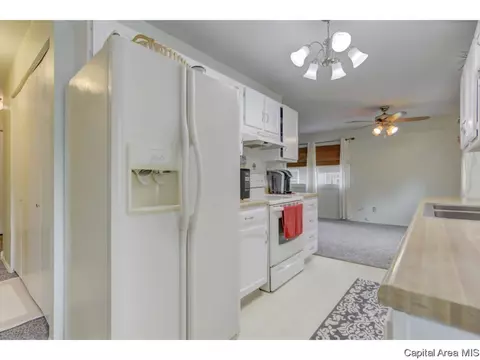 133 N Douglas Ave, Springfield, IL 62702 photo 10