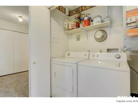 133 N Douglas Ave, Springfield, IL 62702 photo 13