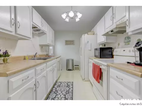 133 N Douglas Ave, Springfield, IL 62702 photo 11