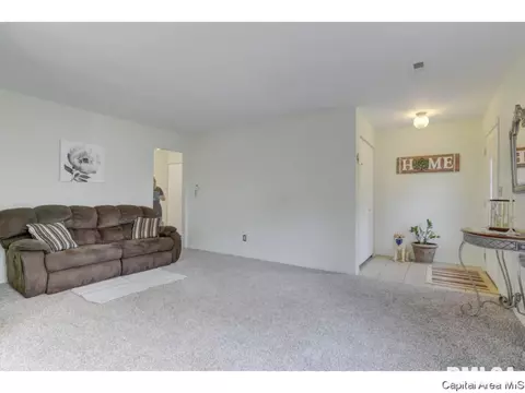 133 N Douglas Ave, Springfield, IL 62702 photo 4