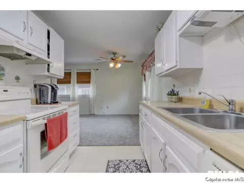 133 N Douglas Ave, Springfield, IL 62702 photo 12