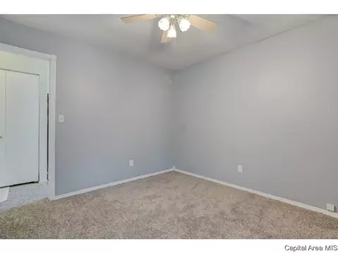 133 N Douglas Ave, Springfield, IL 62702 photo 16