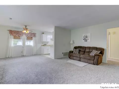 133 N Douglas Ave, Springfield, IL 62702 photo 5