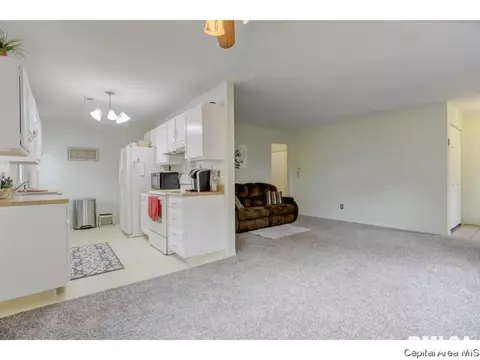 133 N Douglas Ave, Springfield, IL 62702 photo 9