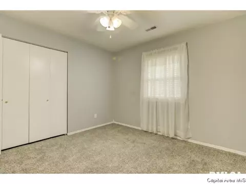 133 N Douglas Ave, Springfield, IL 62702 photo 19