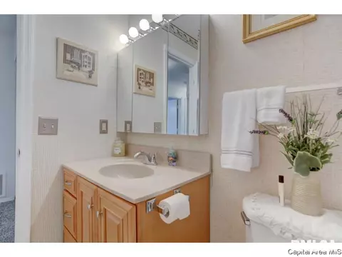 133 N Douglas Ave, Springfield, IL 62702 photo 17