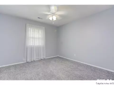 133 N Douglas Ave, Springfield, IL 62702 photo 14