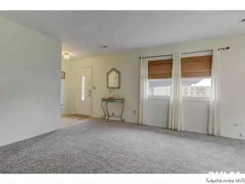 133 N Douglas Ave, Springfield, IL 62702 photo 8