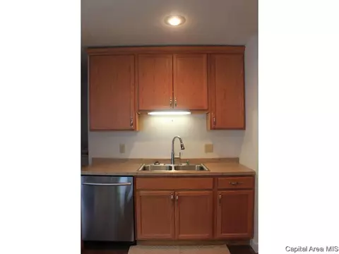1936 Skipton, Springfield, IL 62702 photo 5