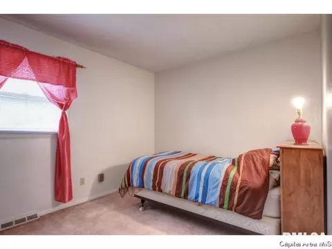 88 Drawbridge Rd, Springfield, IL 62704 photo 22