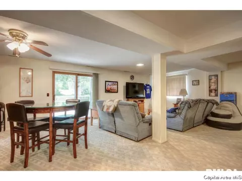 88 Drawbridge Rd, Springfield, IL 62704 photo 31