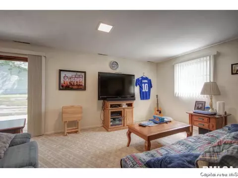 88 Drawbridge Rd, Springfield, IL 62704 photo 33