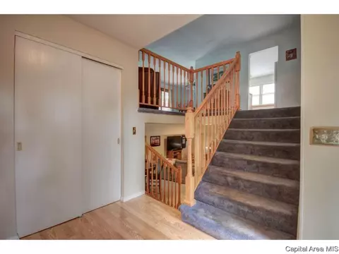 88 Drawbridge Rd, Springfield, IL 62704 photo 28