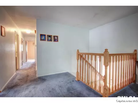 88 Drawbridge Rd, Springfield, IL 62704 photo 15