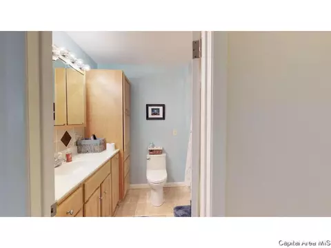 49 Greencastle Cir, Springfield, IL 62712 photo 10