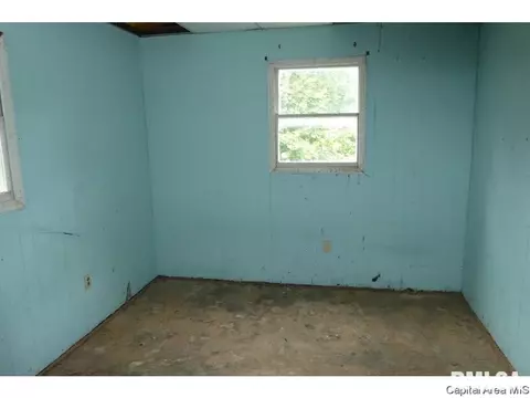 502 S Yates, Tallula, IL 62688 photo 9