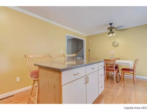 2008 E Black Ave, Springfield, IL 62702 photo 9