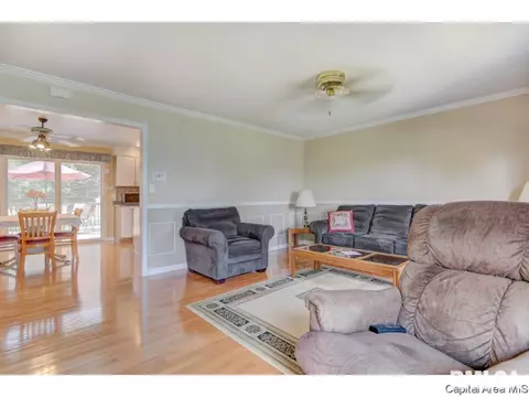 2008 E Black Ave, Springfield, IL 62702 photo 4