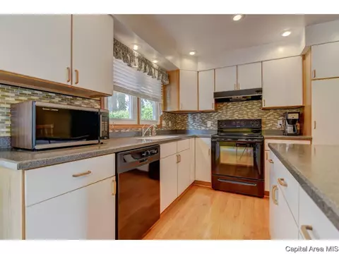 2008 E Black Ave, Springfield, IL 62702 photo 10