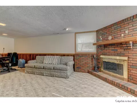 2008 E Black Ave, Springfield, IL 62702 photo 28
